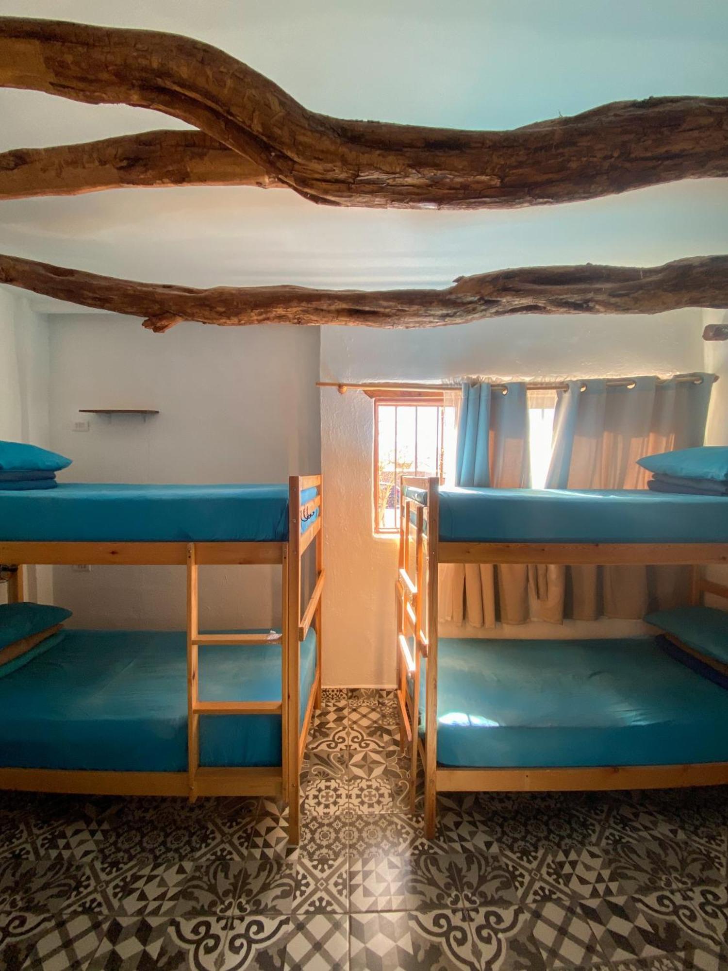 Rey Lagarto Hostel San Pedro de Atacama Dış mekan fotoğraf